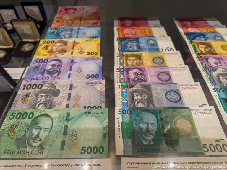 Rows of modern Kyrgyz banknotes in a glass case.