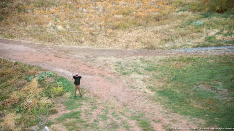 A small dog stands on a dirt path viewed from above