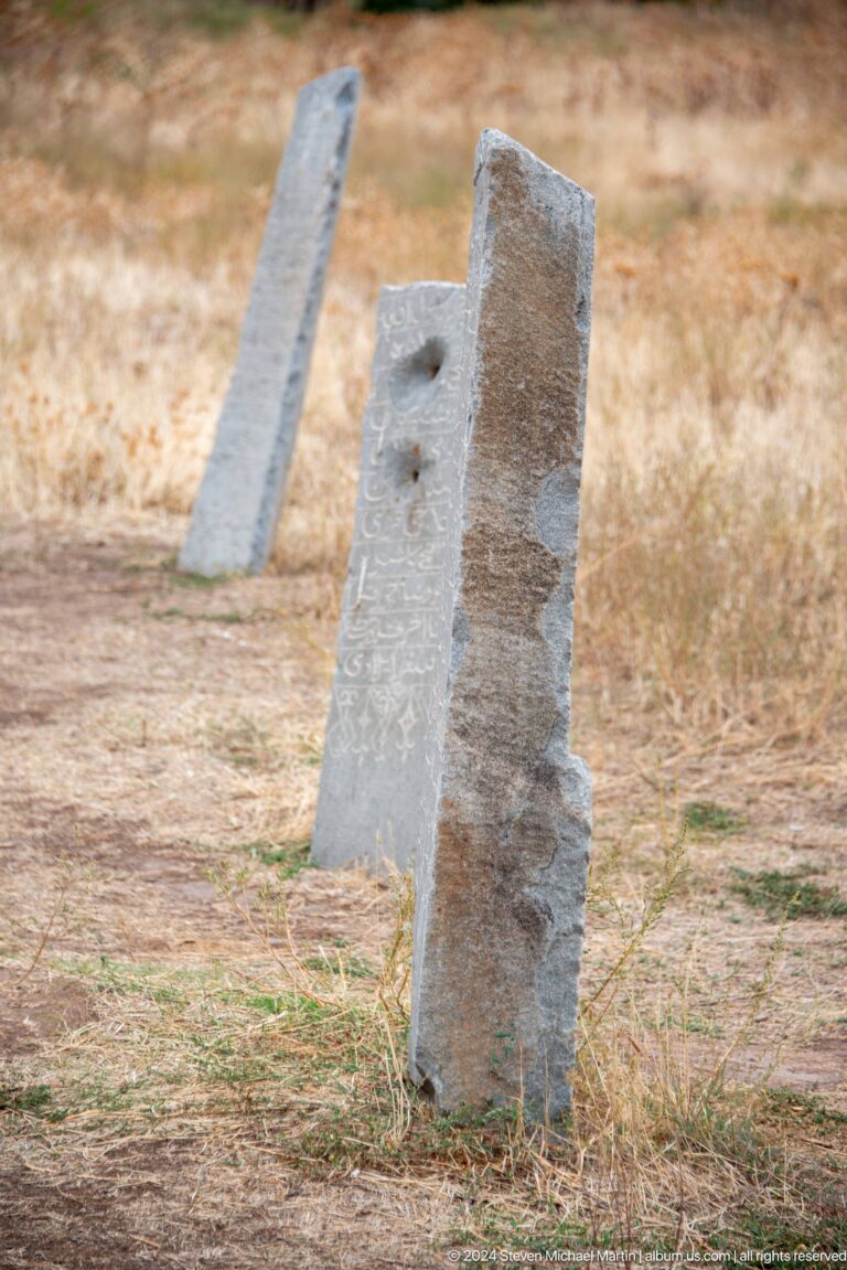 The edge and carved face of a tall stone marker are visible in dry grass