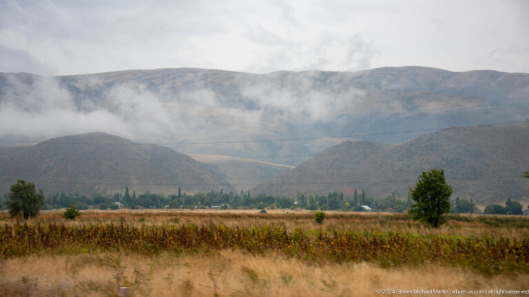 Cornfield with mountains beneath storm clouds.