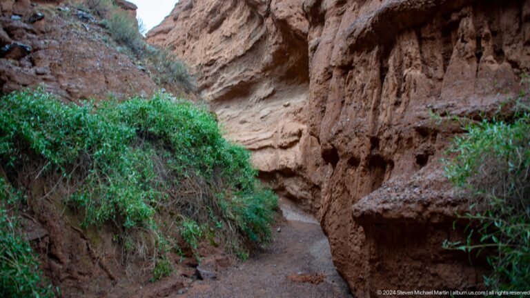 Dense green shrubs beneath overhanging eroded wall.