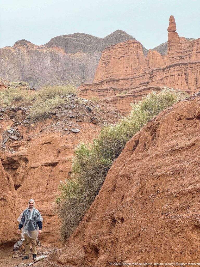 Red layered slopes with sparse shrubs and gray mountains.