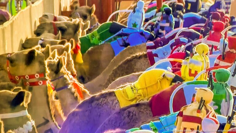 Bright display of colorful textiles or soft toys in Muscat, Oman.
