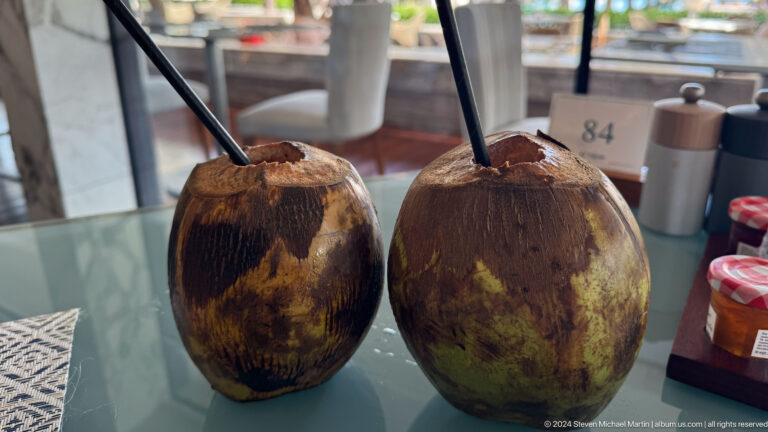 Two fresh coconuts with drinking straws in Muscat, Oman.