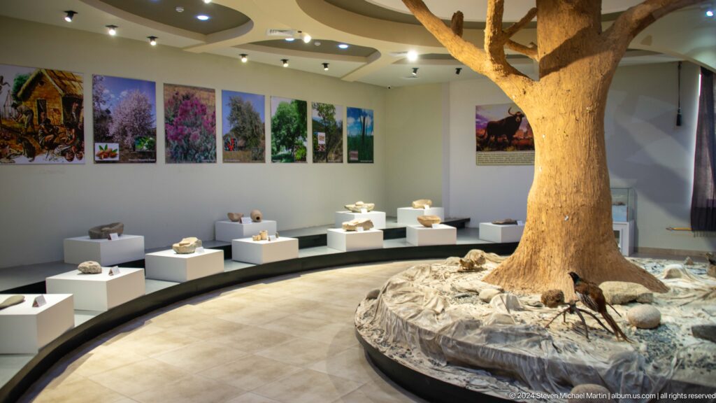 Circular interior of the Ancient Sarazm museum gallery with curved display cases around the perimeter and a large artificial tree in the center.