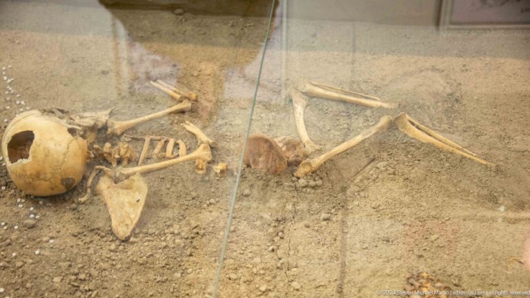 Close detail of a human skeleton in an archaeological burial at Sarazm, with skull, ribs, limb bones, and nearby objects or offerings.