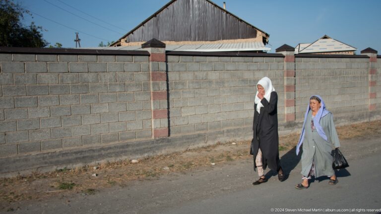 Elderly woman and younger companion walking along a residential wall.