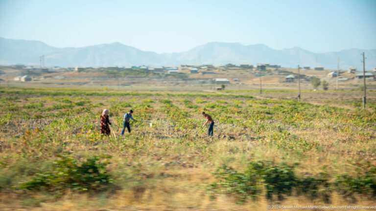 Farm workers crossing a broad harvested field.