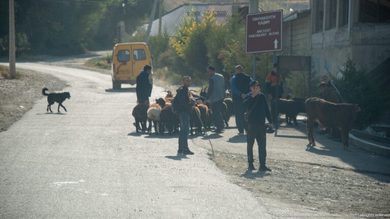 Herders guiding a mixed livestock flock along a road.