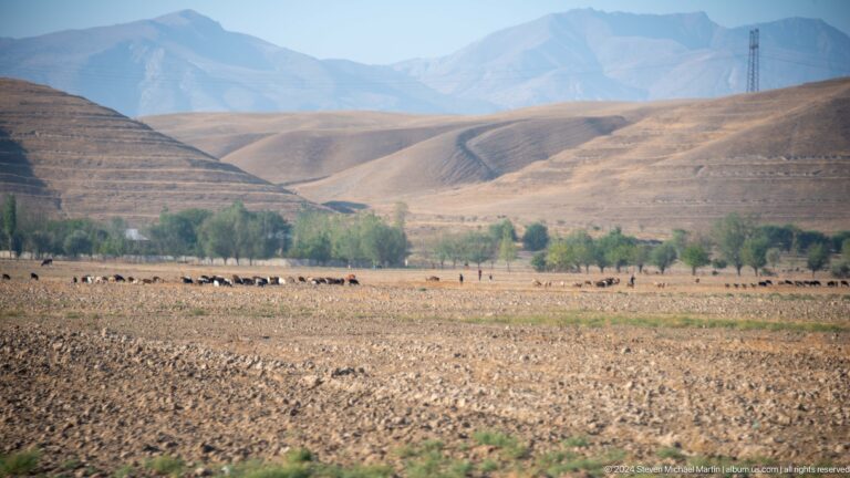 Distant livestock herd crossing a harvested plain.