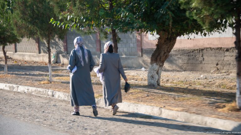 Two elderly women walking together along a tree-lined street.