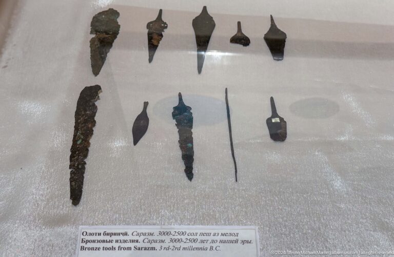 Corroded bronze blades, points, and a thin pin arranged in two rows inside a museum case.