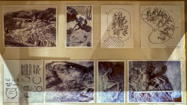 Panel of excavation photographs, skeletal drawings, grave plans, and artifact diagrams.