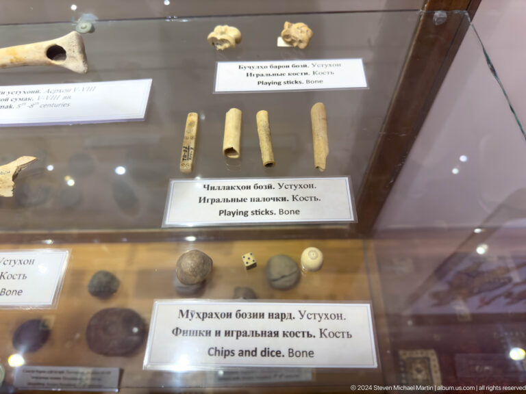 Small bone-colored cylinders, beads, and dark objects arranged inside a glass case.