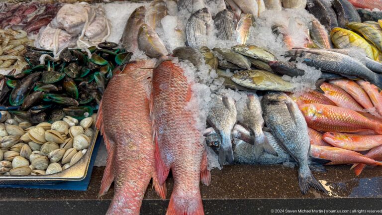 Close-up of mixed seafood on crushed ice at Souq Al Mina Fish Market, with two large red fish in front surrounded by silver fish, mussels, and clams.