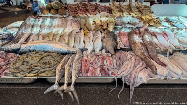 Overhead view of a chilled counter at Souq Al Mina with cleaned squid arranged below and assorted whole fish grouped in rows above.