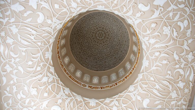 Dark circular ceiling medallion surrounded by white floral relief.