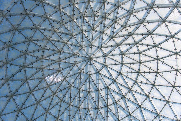 Triangular metal lattice supporting a large glass roof viewed from below.