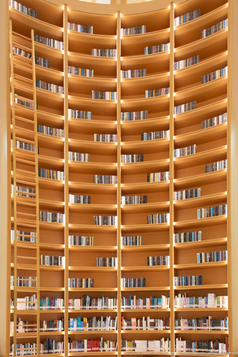 Curved wooden library shelves filled with books.