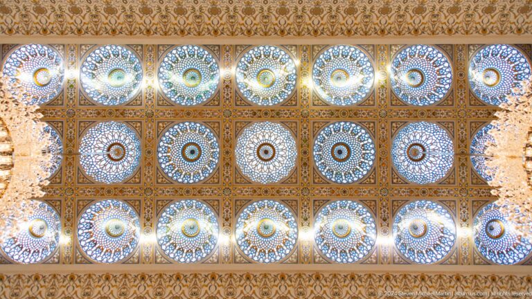 Ceiling grid with repeating blue and white circular motifs.