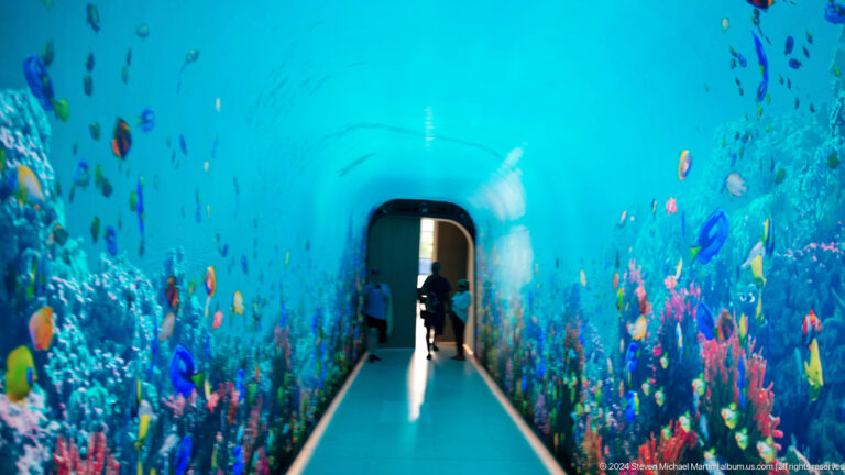 Visitors walking through a blue corridor covered with tropical fish and coral imagery.