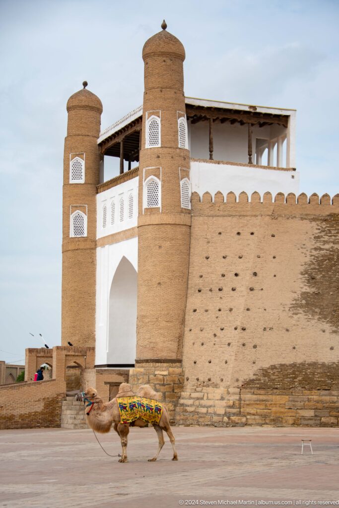Ark gate tower and crenellated wall.