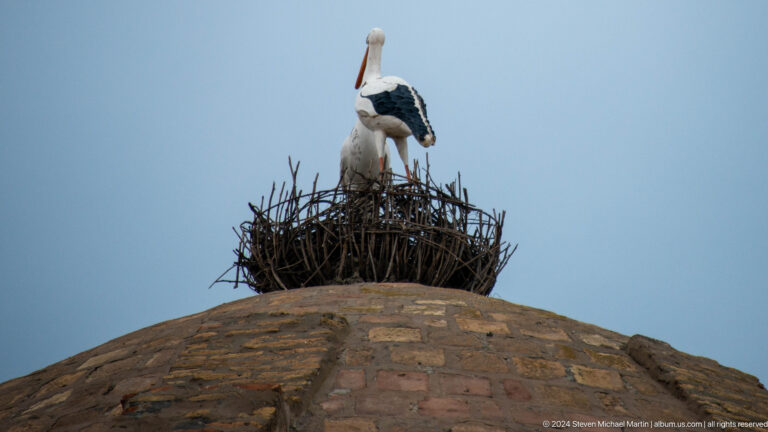 Stork standing on nest atop brick dome.