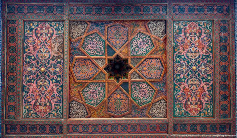 Dark floral ceiling panel with geometric star center.
