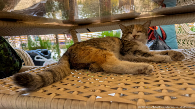 Cat sleeping on woven platform.