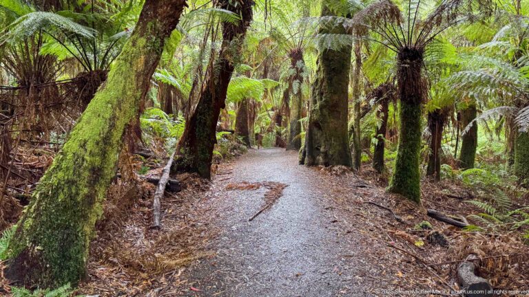 Great Otway National Park