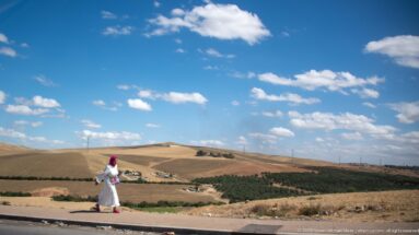 Woman in white clothing and red head covering walking beside rolling fields and orchards outside Fes.