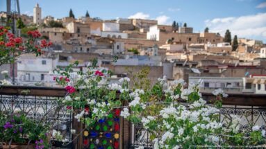 Red and white flowers along a wrought-iron terrace railing overlooking the rooftops of Fes.