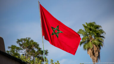 Red Moroccan flag with green pentagram flying against blue sky beside a palm tree.