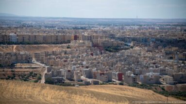 Golden field overlooking dense low-rise neighborhoods on the outskirts of Fes stretching toward the horizon.