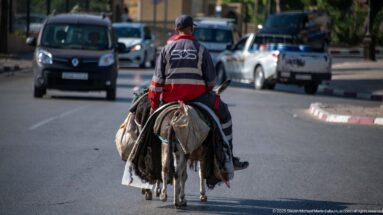 Man riding a loaded donkey along a city road in Fes with cars traveling around him.