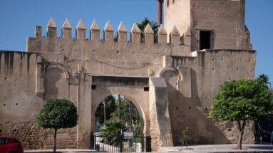 Pale fortified gateway with pointed merlons, square tower, metal gate, and clipped trees in the Royal Palace precinct of Fes.