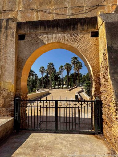 Large masonry arch and black metal gate opening onto a sunlit palm-lined garden path in Fes.