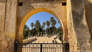 Large brick-and-plaster arch framing a gated palm-lined garden path in the Royal Palace precinct of Fes.