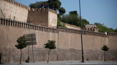 Pinkish crenellated wall and square tower in Fes, with small street trees, road signs, and taller trees behind.