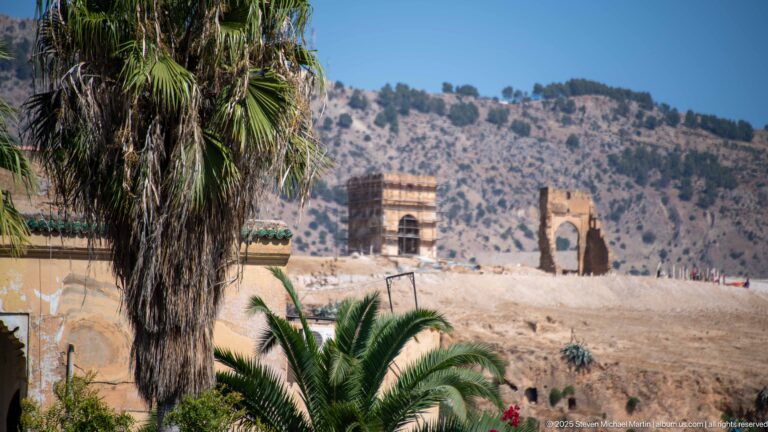 Palm trees frame two distant masonry ruins on a dry hill, including one structure covered in scaffolding.