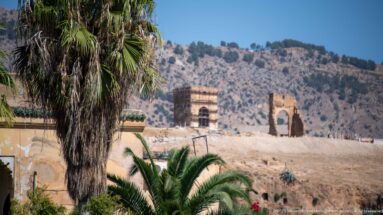 Palm trees frame two distant masonry ruins on a dry hill, including one structure covered in scaffolding.