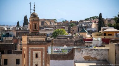 Elevated view across Fes rooftops with a tall tower, trees, weathered walls, and distant mountains.