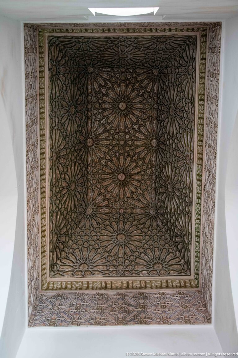 Rectangular dark wooden ceiling panel covered with repeating floral and geometric ornament.