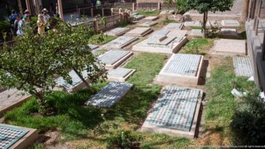 Elevated view across rows of tiled and pale stone graves among grass and small trees in the Saadian Tombs garden.