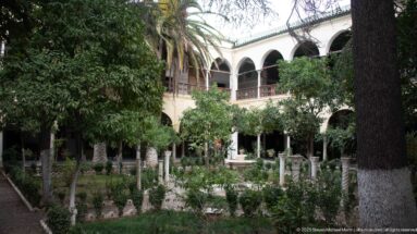 Leafy palace courtyard with small fountain, mature trees, palms, and two-story arcaded galleries surrounding the garden.