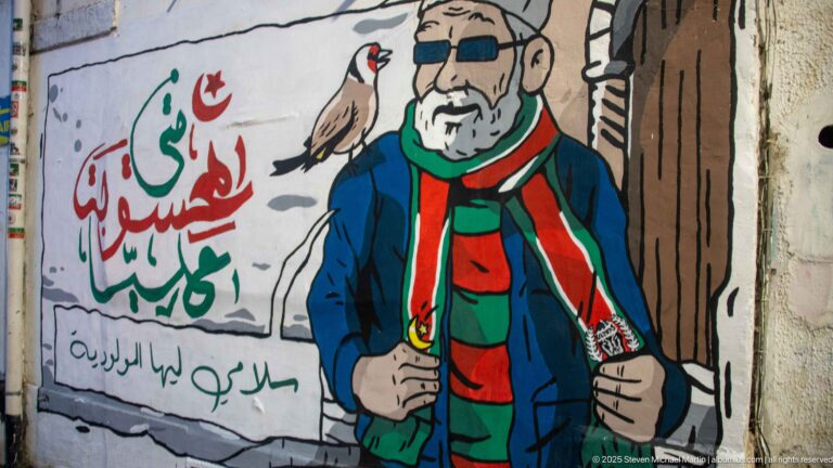 Street mural of a bearded man in sunglasses wearing Algerian colors, with Arabic text and national symbols.
