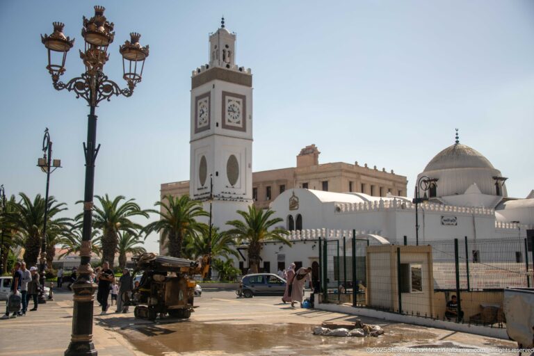 White mosque with a square clock-faced minaret, rounded dome, palm trees, pedestrians, and streetlamps in Algiers.
