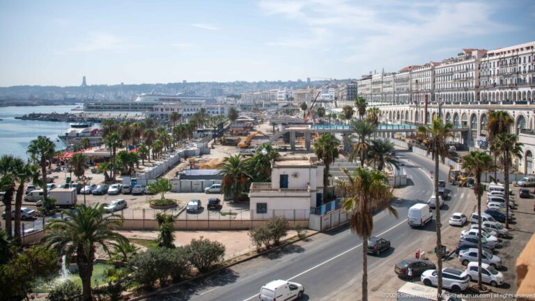 Elevated Algiers waterfront view with palm-lined road, harbor, parked cars, and long arcaded historic façades.