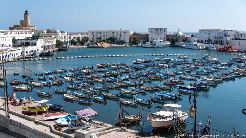 Dozens of small fishing boats packed into a sheltered Algiers harbor with white waterfront buildings beyond.