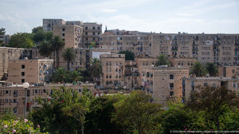 Layered hillside neighborhood of pale stone and plaster buildings with palm trees in Algiers.